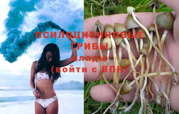 винт Алзамай