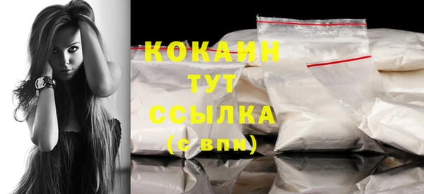 гидра Няндома