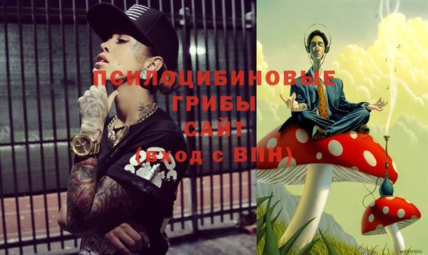 винт Алзамай