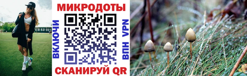 дарк нет формула  Татарск  Псилоцибиновые грибы Psilocybe 