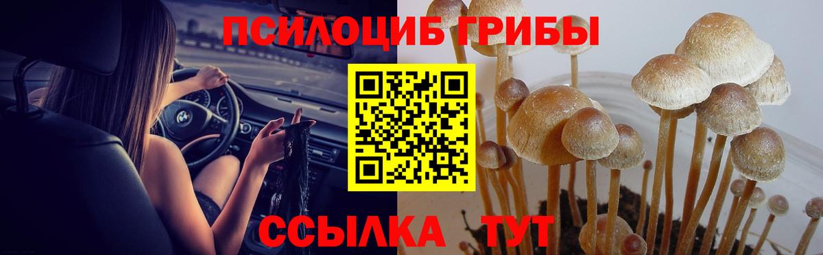 Галлюциногенные грибы ЛСД Татарск